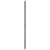 Wall Mirror Black 15.7"x31.5" Rectangle Iron