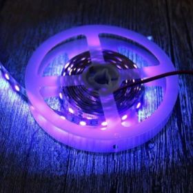 LED Purple Light UV Soft Patch Light With Low Voltage (Option: 60 LightsM Bare Board-DC12V)